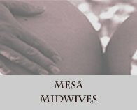 Midwives Pregnancy Care